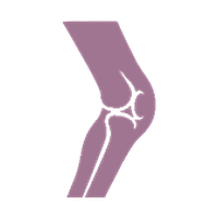 膝