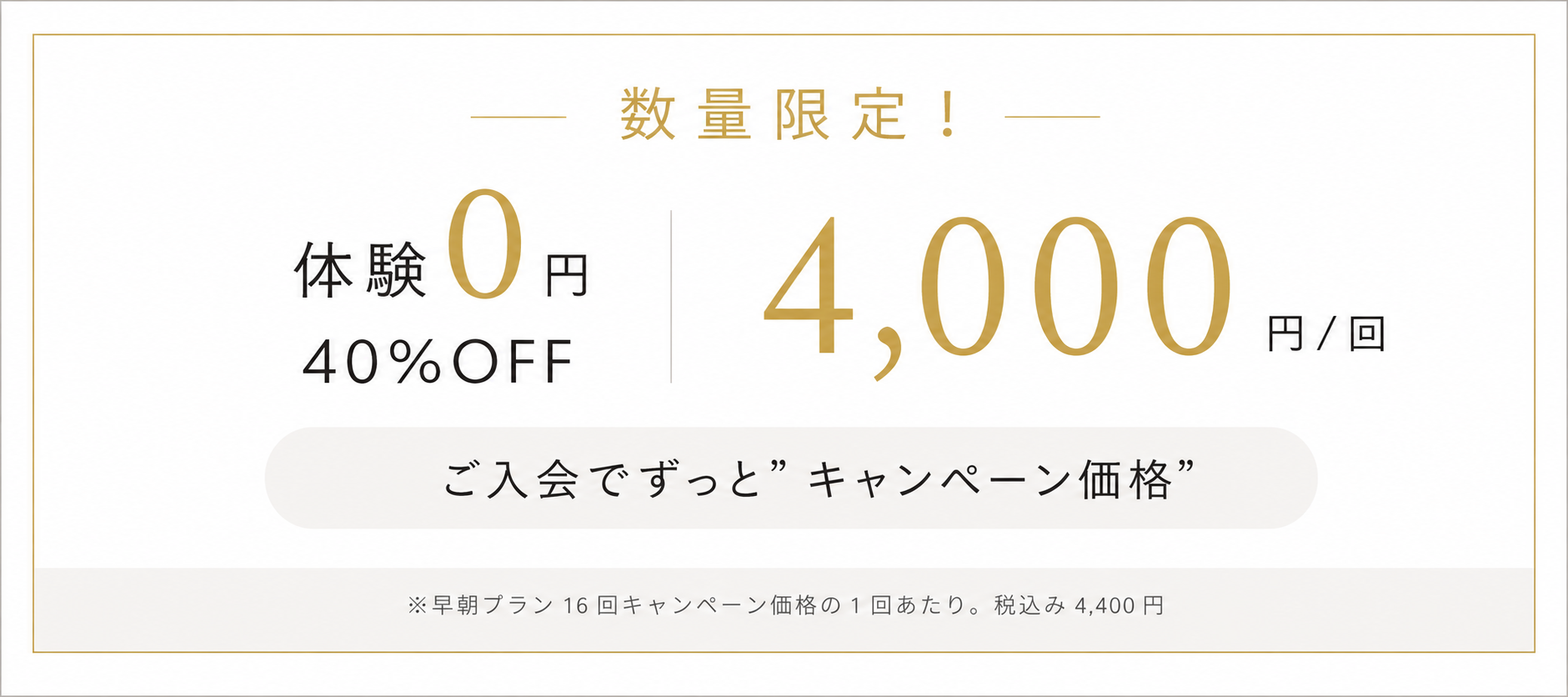 キャンペーン情報