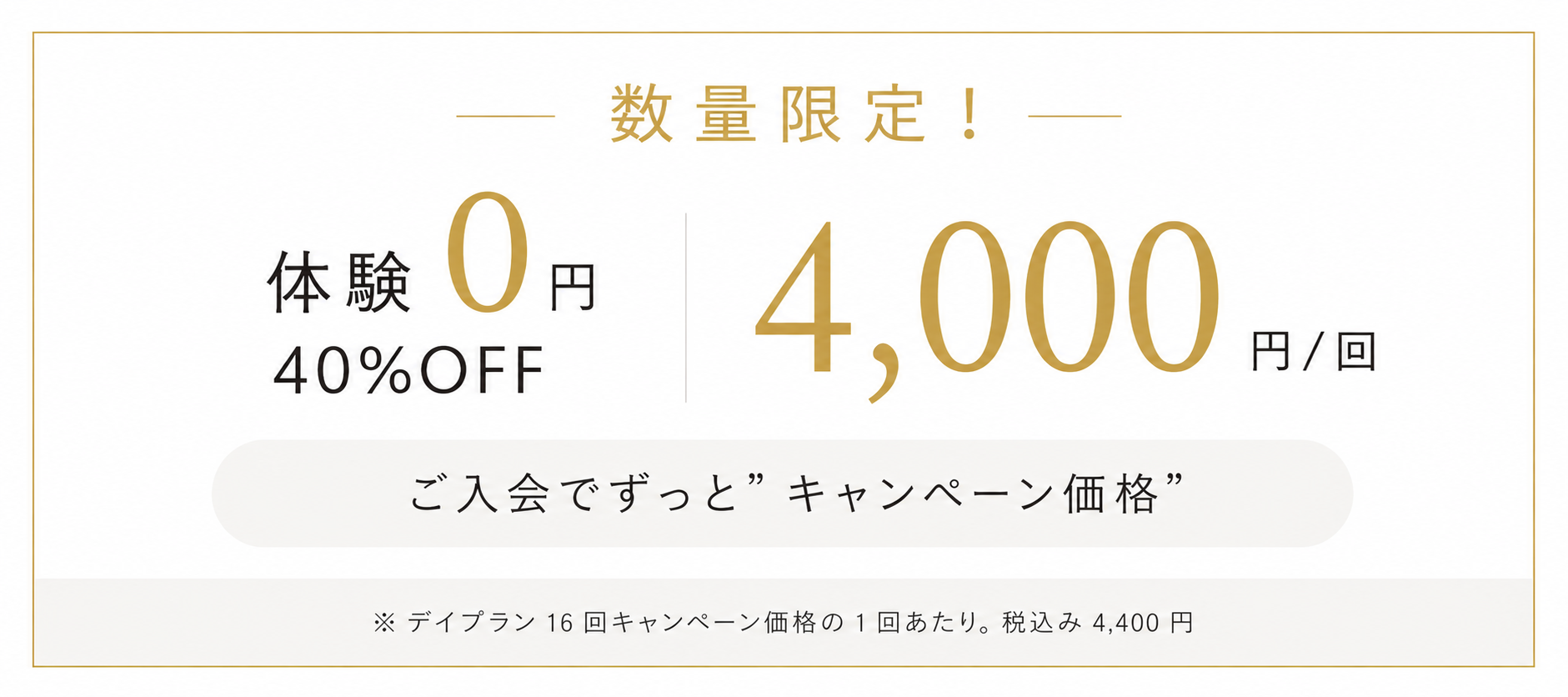 キャンペーン情報